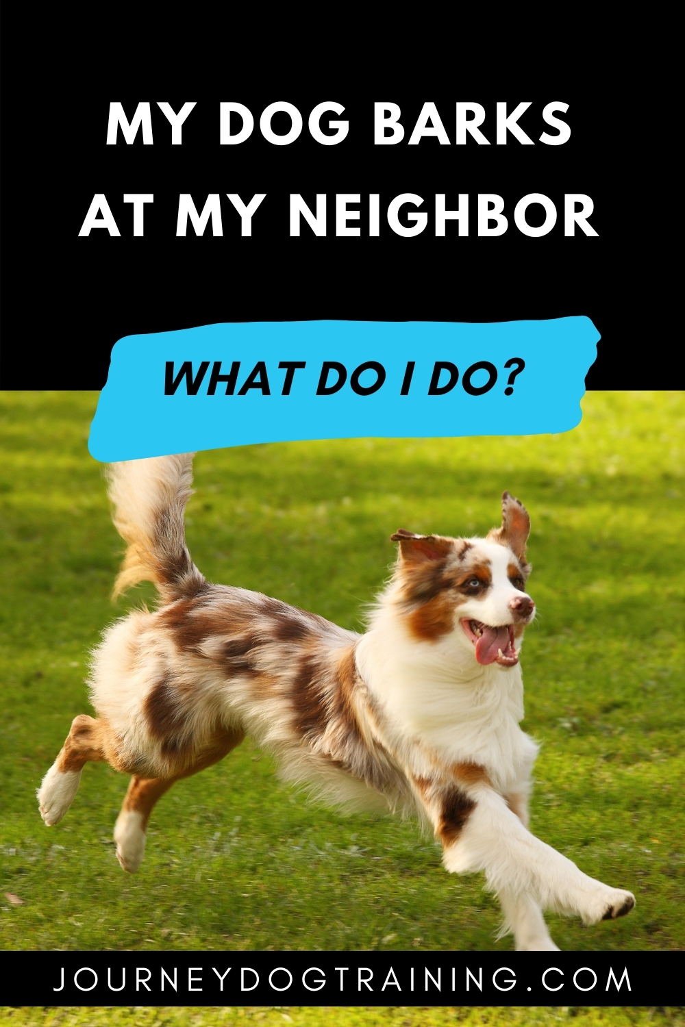 How Do I Stop My Dog From Barking at My Neighbor? | journeydogtraining.com