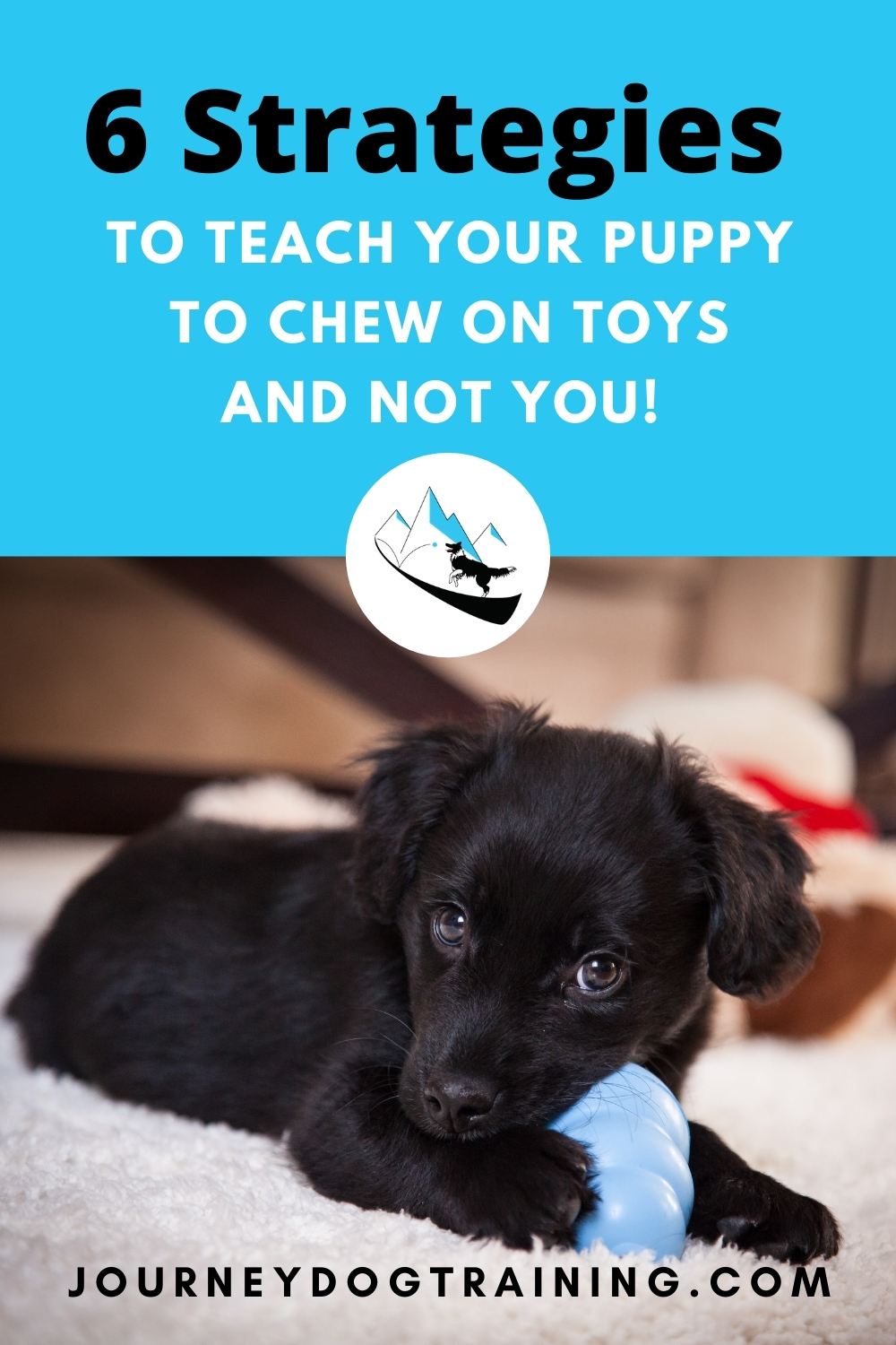 My puppy thinks i'm a chew toy. What should I do? How do I get my puppy to chew on his toys and not me? | journeydogtraining.com